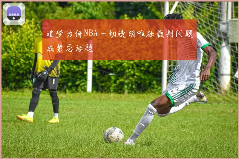 追梦为何NBA一切透明唯独裁判问题成禁忌话题