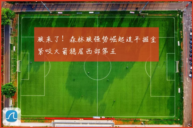 狼来了！森林狼强势崛起追平掘金紧咬火箭稳居西部第五